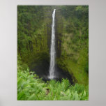 Akaka Falls Print