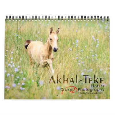 Akhal-Teke Horses 2 Wall Calendars by PaintingPony
