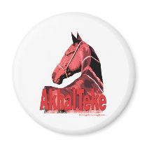 Akhal Teke Portrait magnets
