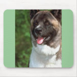 Akita Alfombrillas De Raton