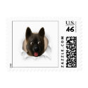 Akita Busting Out - Customized stamp