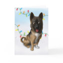 Akita Christmas card