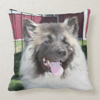 Akita dog pillows