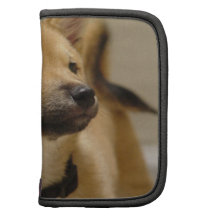 Akita Dog Wallet Folio Folio Planner