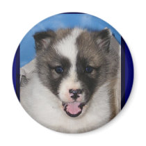 akita girl magnets by Petcetera akita girl magnets