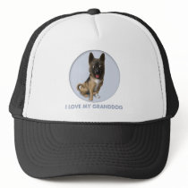 Akita Granddog hats by cartoondogs Akita Granddog hats