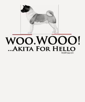 Akita Hello Woo Wooo Raglan T-Shirt