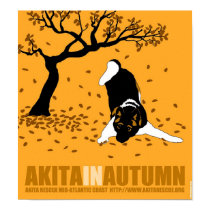 Akita in Autumn (12" x 13") posters