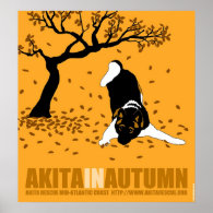 Akita in Autumn (24