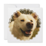 Akita Invitation
