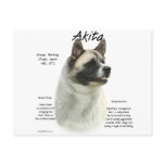Akita (pinto) History Design Post Card