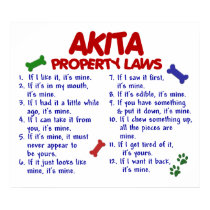AKITA PL2 posters