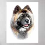 Akita posters