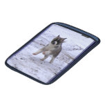 Akita Pup Ipad Sleeves