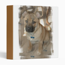 Akita Puppy Dog Binder