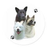 Akita Trio - Sticker