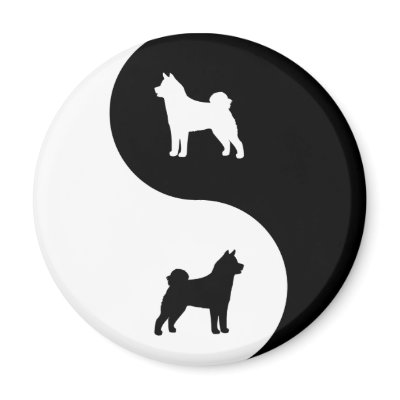 Akita Yin Yang Fridge Magnets by dogwiregifts