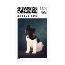 akitas postage by TessCivitello akitas postage