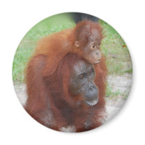 Akmad and Baby magnet