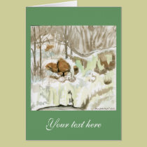 Akron Falls winter landscape cards