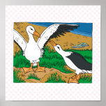 Al & Ally Albatross posters