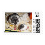 Al and Kid postage