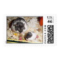 Al and Kid postage