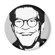 Al Franken magnets