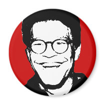 Al Franken magnets