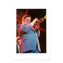Al Hirt posters