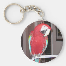 Ala verde Maccaw Llavero Personalizado
