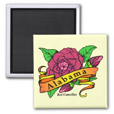 Alabama State Flower Picture on Alabama State Flower Magnets From Zazzle Com