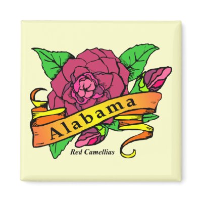 Alabama State Flower Picture on Alabama State Flower Magnets From Zazzle Com