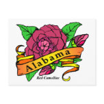 Alabama State Flower Postcards