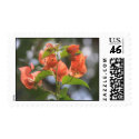 Alabama Sunset Bougainvilleas postage