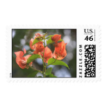 Alabama Sunset Bougainvilleas postage