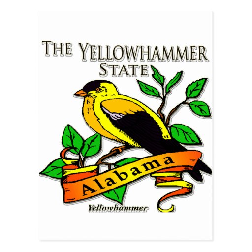 Alabama Yellowhammer Bird Postcard Zazzle