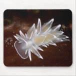 Alabaster Nudibranch Mousepads