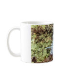 Alabaster Nudibranch - Mug
