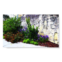 Alamo flowers posters