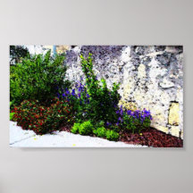 Alamo flowers posters