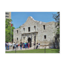 Alamo San Antonio Forts Texas Postcard