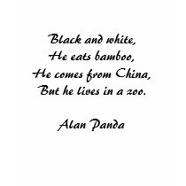 Alan Panda t-shirts