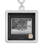 Alarma de Grumpage collares