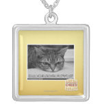 Alarma de Grumpage collares