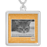 Alarma de Grumpage collares