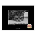 Alarma de Grumpage tarjetas postales