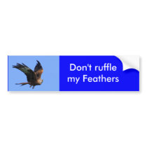 Alarmed Red Kite bumper stickers
