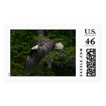 Alaska Bald Eagle postage by china_fun Alaska Bald Eagle postage