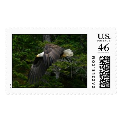 Alaska Bald Eagle Postage by china_fun